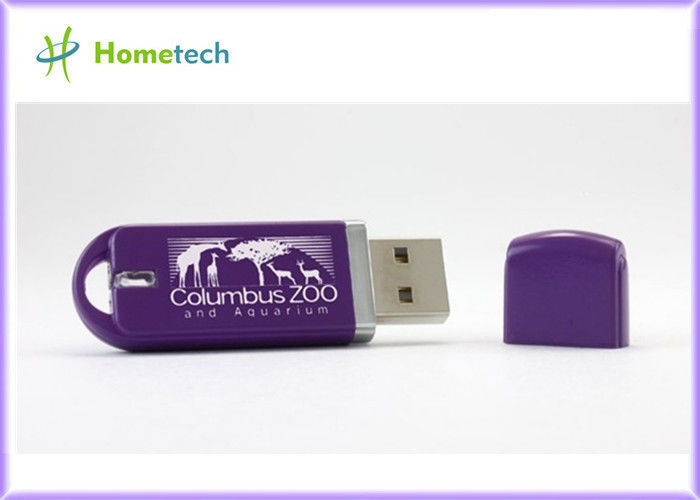 OEM 직업적인 지팡이 2-4GB USB 기억 지팡이는 주문 로고로, 플라스틱 USB 섬광 몹니다